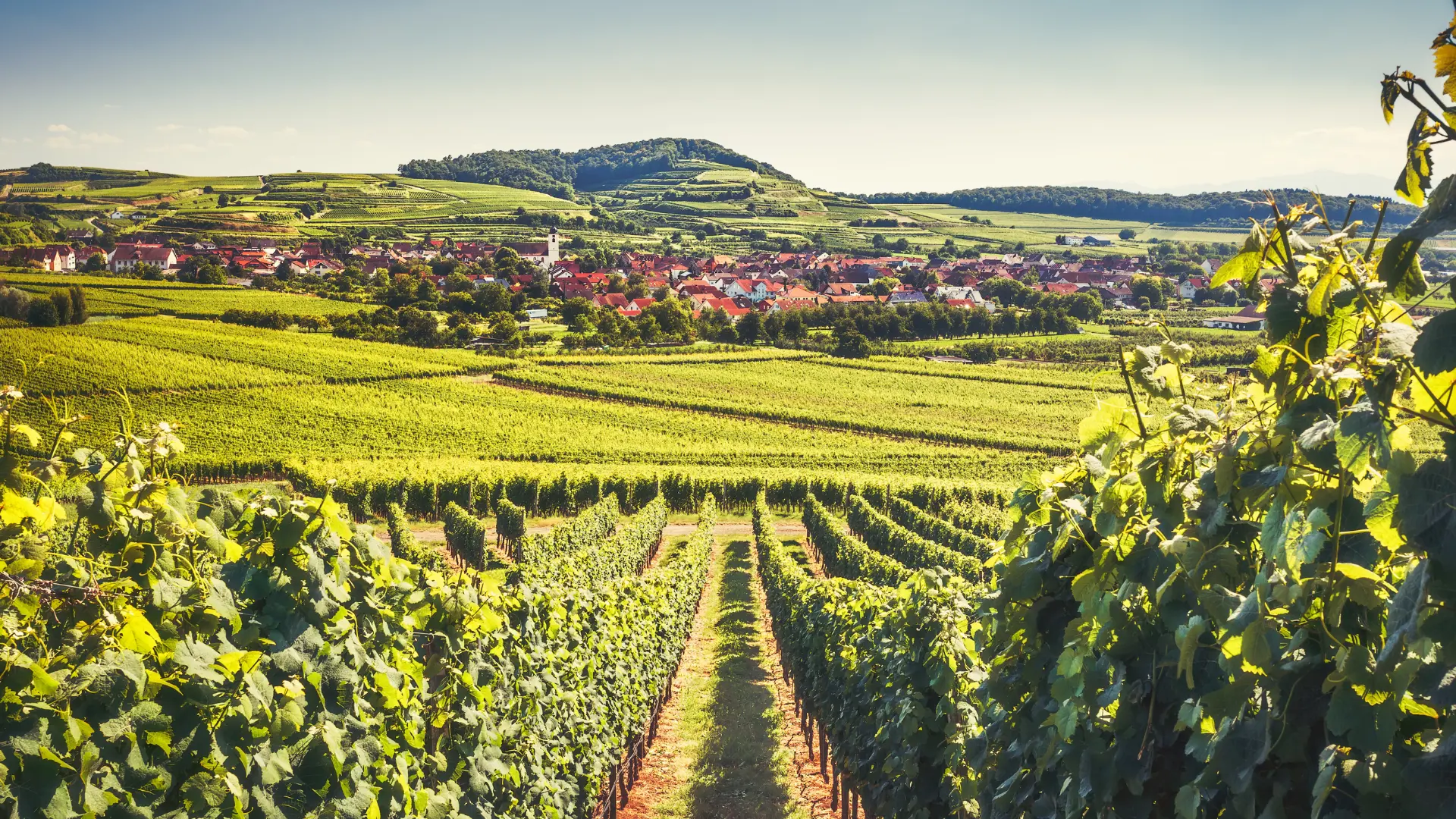 SWJ Breisgau Hochschwarzwald Frühling