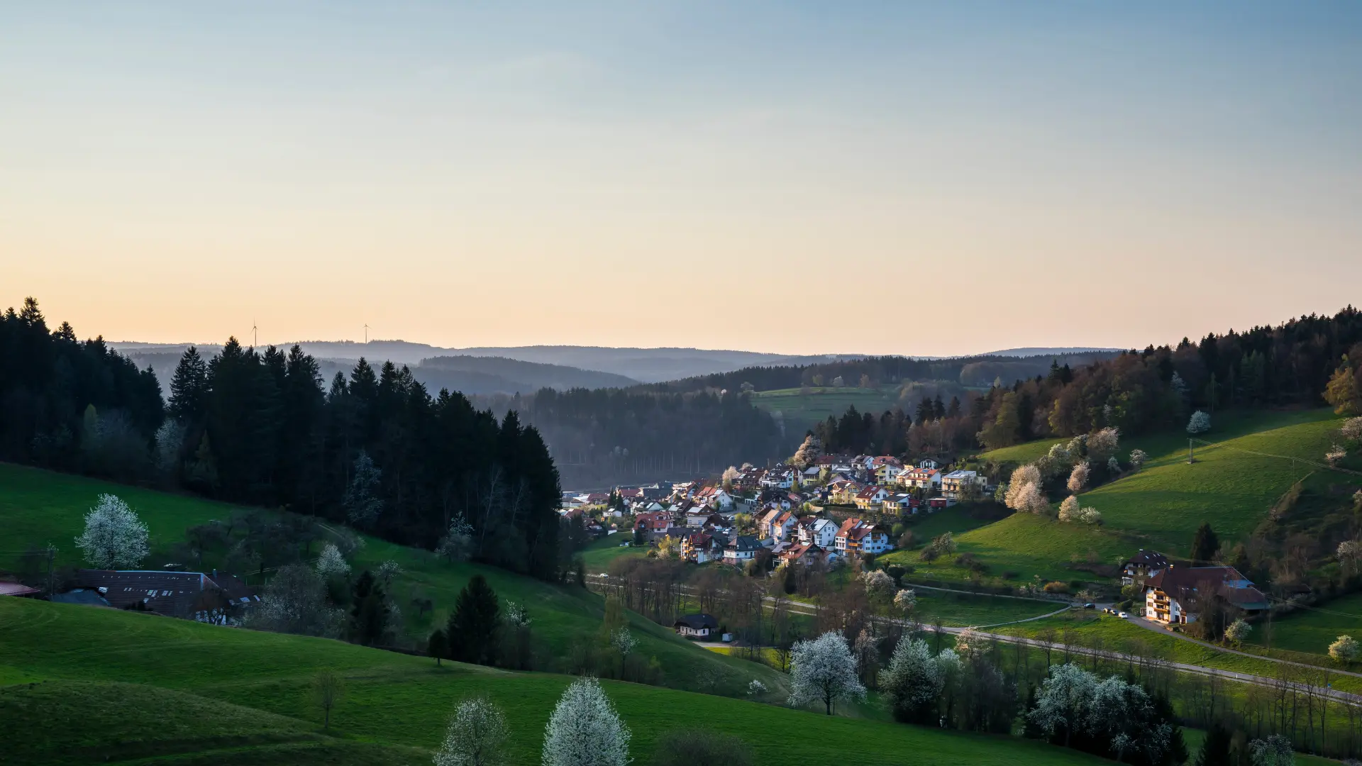 SWJ Emmendingen Frühling
