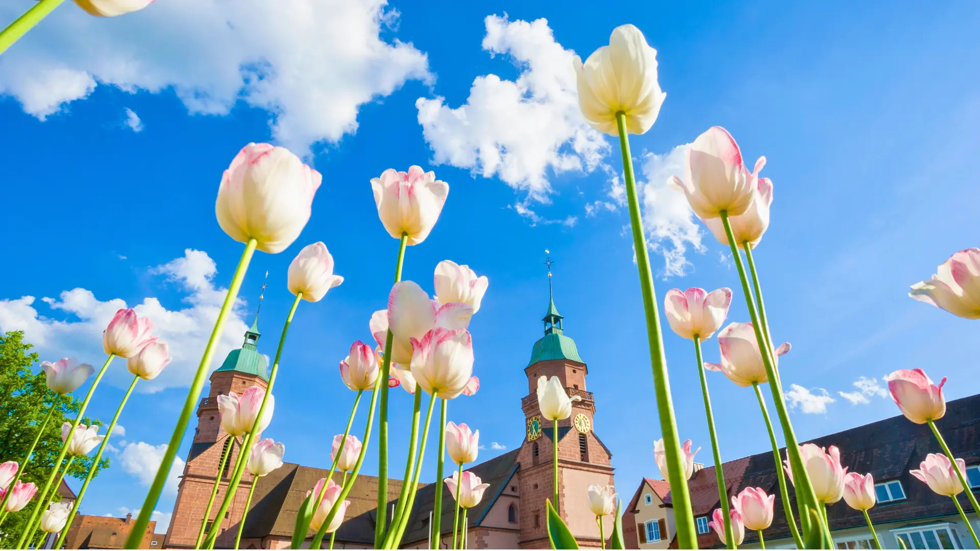 SWJ Freudenstadt Frühling