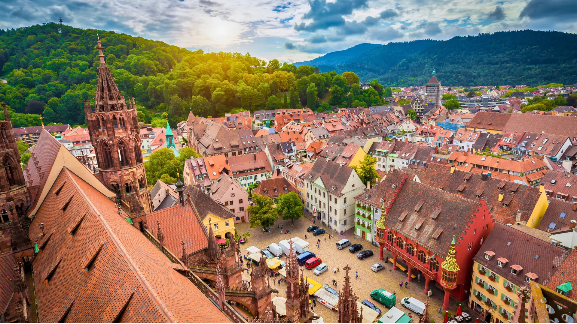 Frühling freiburg