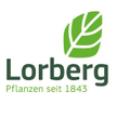 lorberg-baumschulen-baden-baden-gmbh
