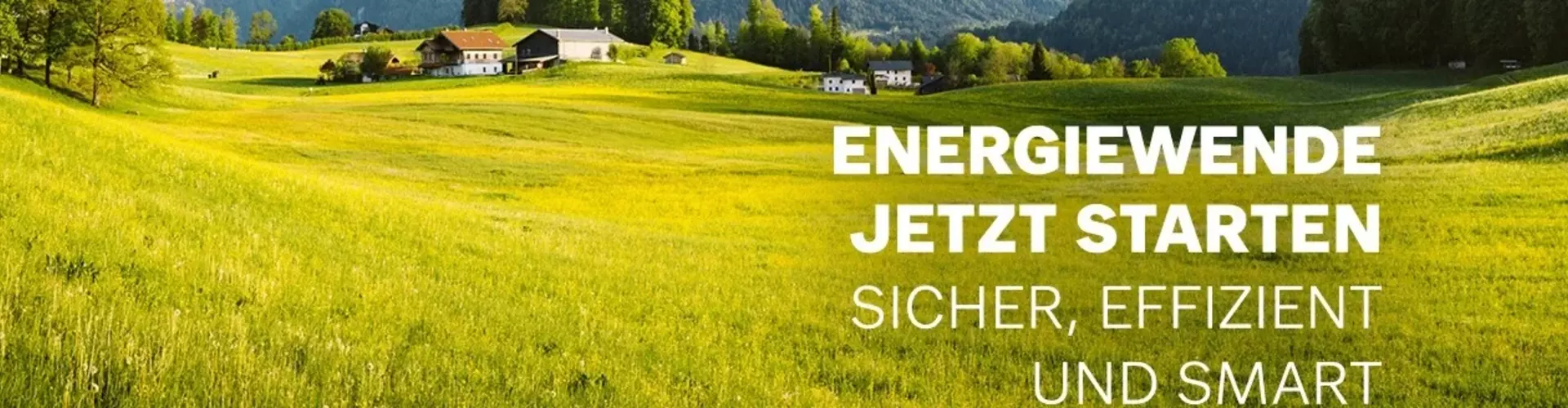 Tedom Service GmbH cover