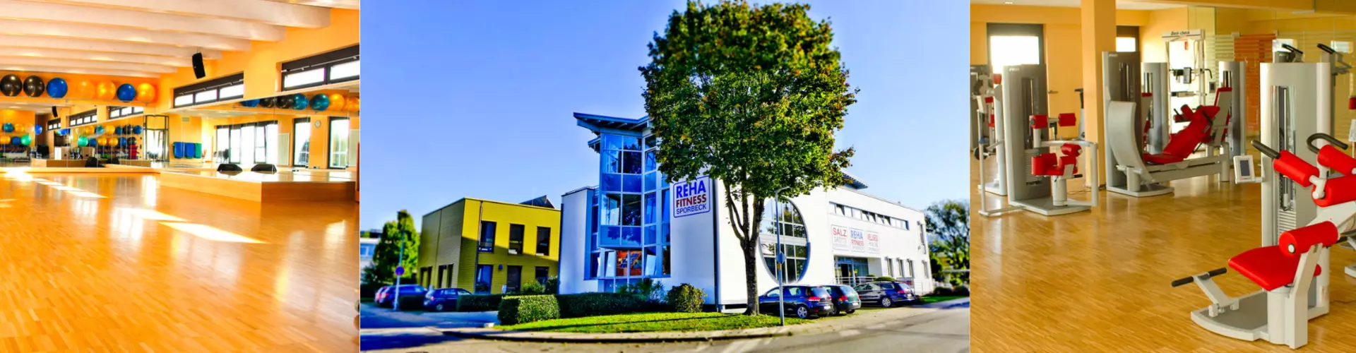 Reha Fitness Sporbeck / Praxis für Physiotherapie Sporbeck-Frei cover