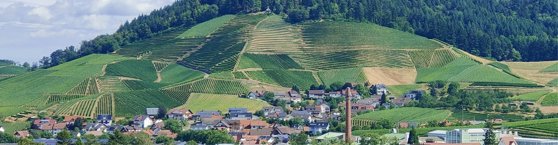 LENK Paper GmbH cover