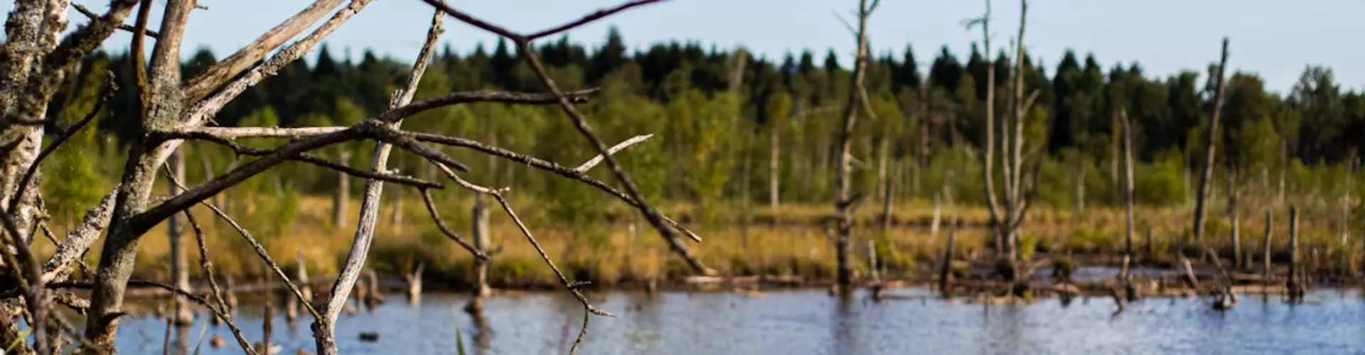 Reha-Zentrum Bad Dürrheim Klinik Hüttenbühl cover
