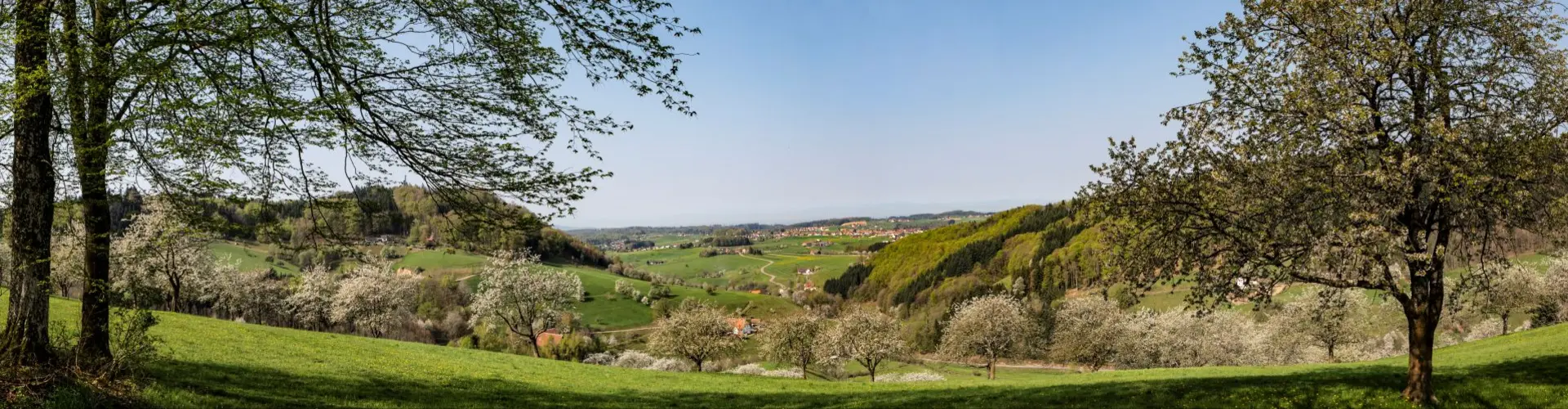 Gemeinde Freiamt cover