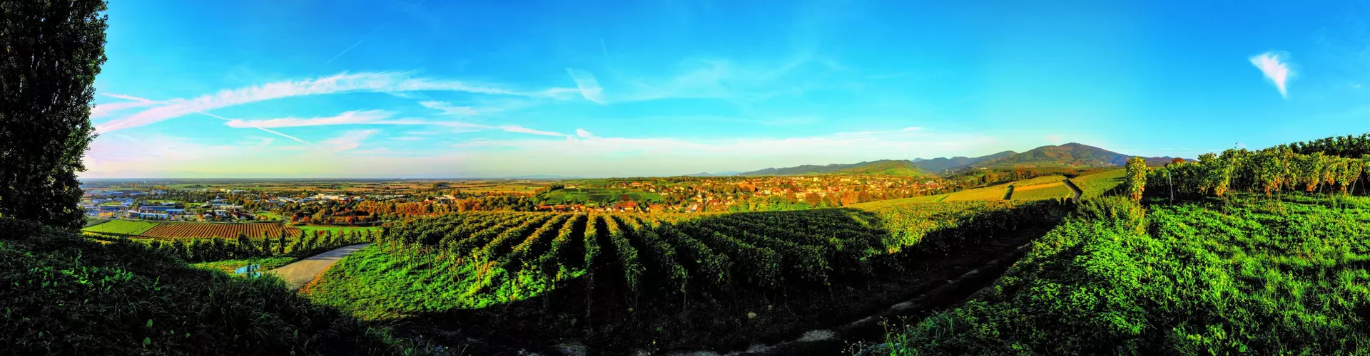 Stadt Müllheim i. M. cover