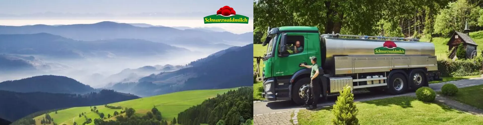 Schwarzwaldmilch GmbH cover