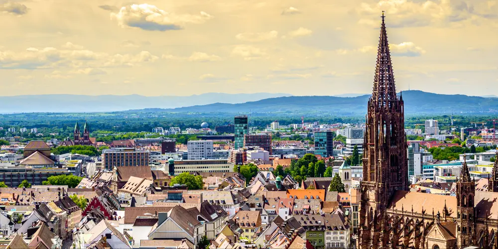 AE - Arbeitsgemeinschaft Endoprothetik GmbH